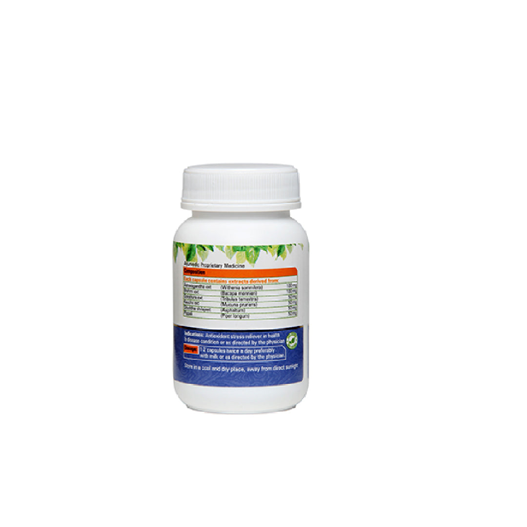 Actinav - ANTI-OXIDANT – REJUVENATIVE – STRESS RELIEVER -  60 Tabs