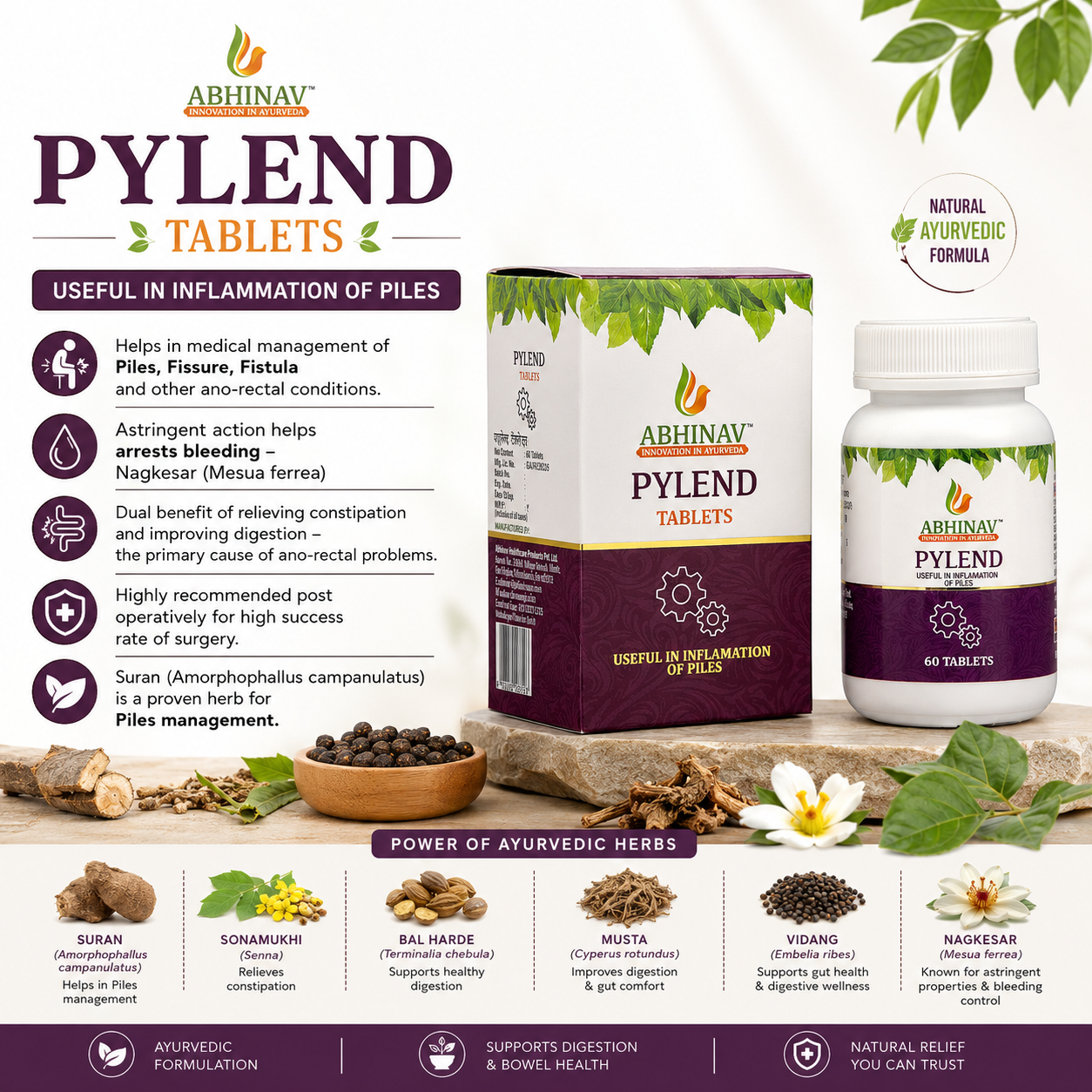 Pylend – Ayurvedic Piles Tablets – 60 Tabs